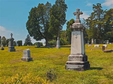 calgary cemetery records|calvary cemetery ny burial records.